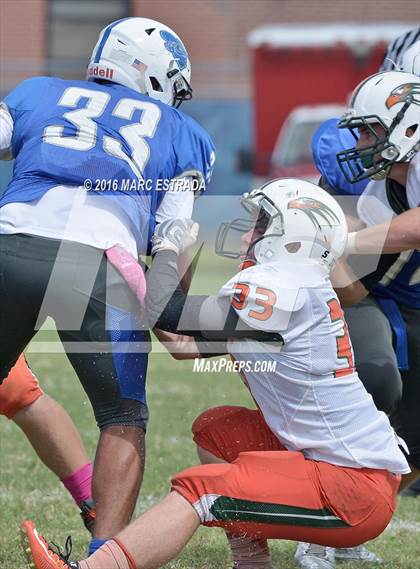 Thumbnail 1 in Seminole @ Dixie Hollins photogallery.