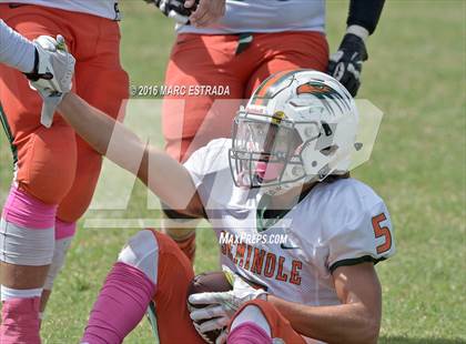 Thumbnail 1 in Seminole @ Dixie Hollins photogallery.