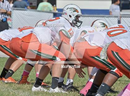 Thumbnail 2 in Seminole @ Dixie Hollins photogallery.
