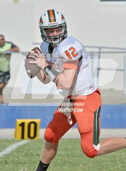 Thumbnail 1 in Seminole @ Dixie Hollins photogallery.