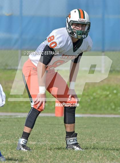 Thumbnail 1 in Seminole @ Dixie Hollins photogallery.