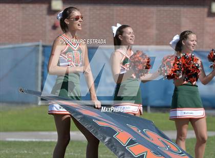 Thumbnail 2 in Seminole @ Dixie Hollins photogallery.