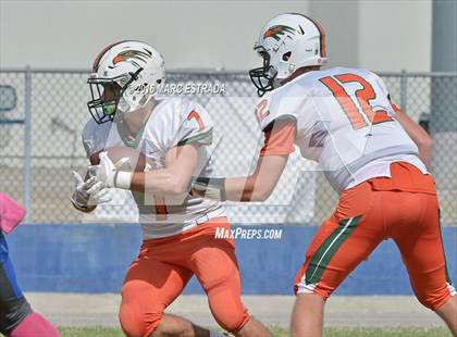 Thumbnail 3 in Seminole @ Dixie Hollins photogallery.