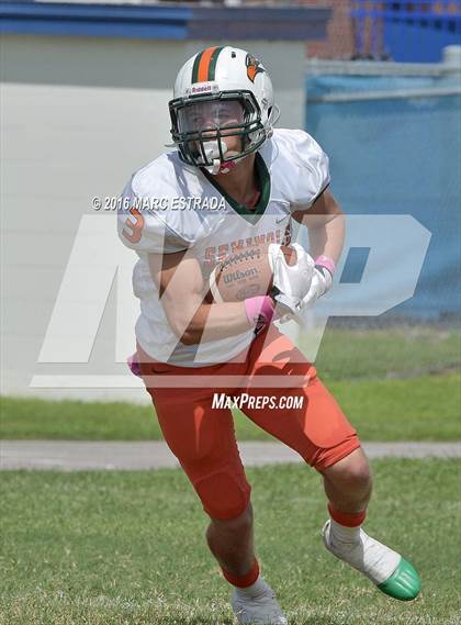 Thumbnail 2 in Seminole @ Dixie Hollins photogallery.
