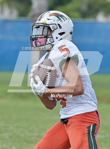 Thumbnail 2 in Seminole @ Dixie Hollins photogallery.