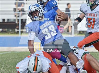 Thumbnail 1 in Seminole @ Dixie Hollins photogallery.