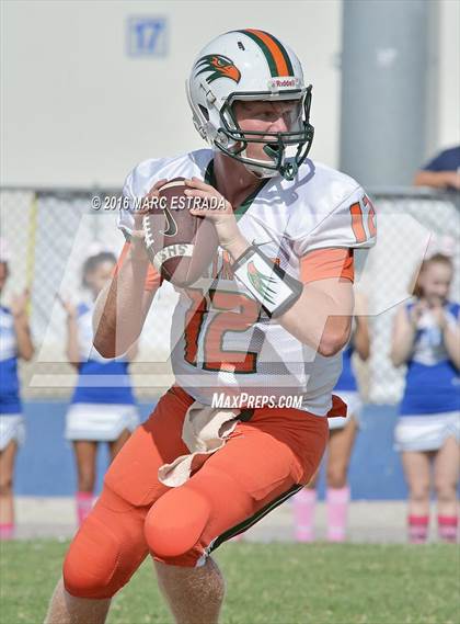 Thumbnail 2 in Seminole @ Dixie Hollins photogallery.