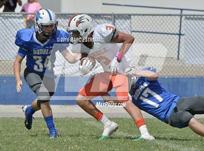 Thumbnail 2 in Seminole @ Dixie Hollins photogallery.