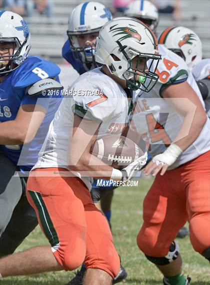 Thumbnail 3 in Seminole @ Dixie Hollins photogallery.