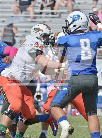 Thumbnail 2 in Seminole @ Dixie Hollins photogallery.