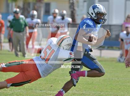 Thumbnail 1 in Seminole @ Dixie Hollins photogallery.