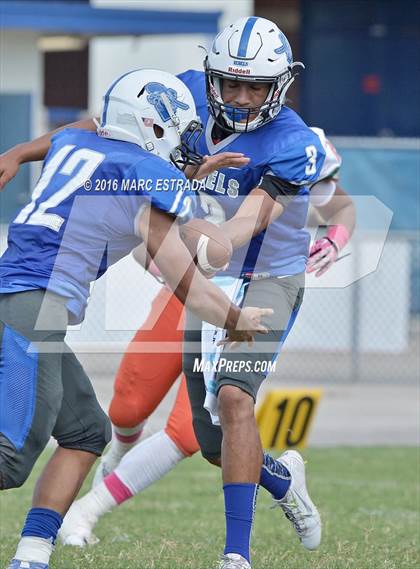 Thumbnail 2 in Seminole @ Dixie Hollins photogallery.