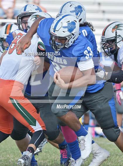 Thumbnail 1 in Seminole @ Dixie Hollins photogallery.