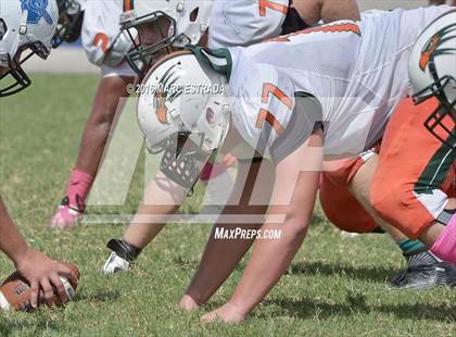 Thumbnail 3 in Seminole @ Dixie Hollins photogallery.