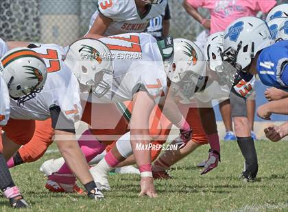 Thumbnail 2 in Seminole @ Dixie Hollins photogallery.