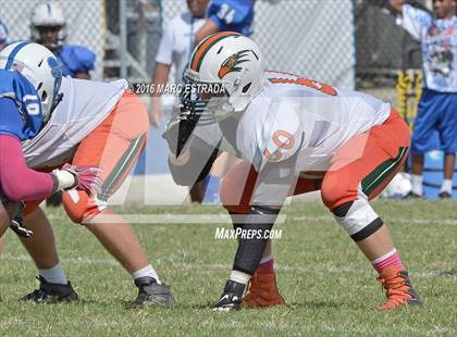 Thumbnail 2 in Seminole @ Dixie Hollins photogallery.