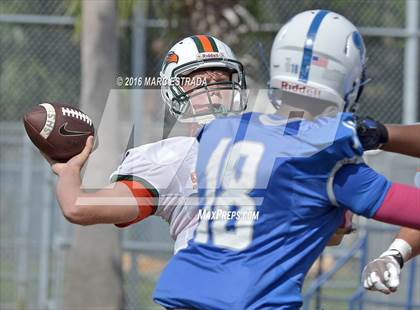 Thumbnail 2 in Seminole @ Dixie Hollins photogallery.