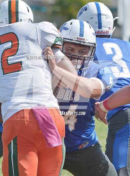 Thumbnail 3 in Seminole @ Dixie Hollins photogallery.