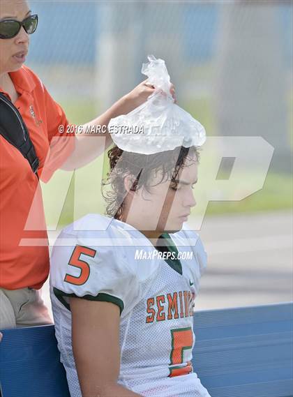 Thumbnail 2 in Seminole @ Dixie Hollins photogallery.