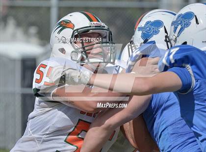 Thumbnail 1 in Seminole @ Dixie Hollins photogallery.