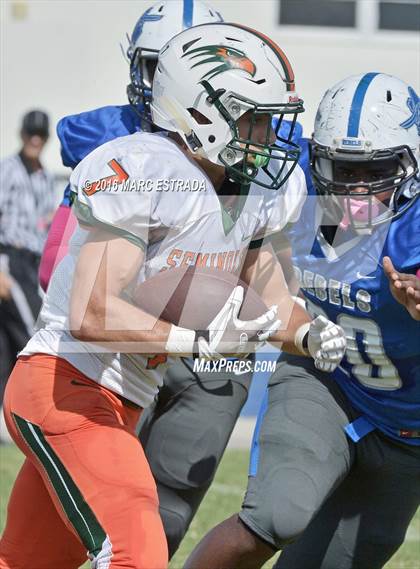 Thumbnail 3 in Seminole @ Dixie Hollins photogallery.