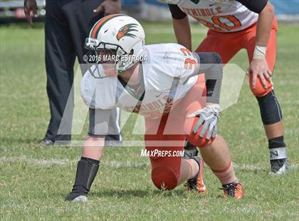 Thumbnail 3 in Seminole @ Dixie Hollins photogallery.