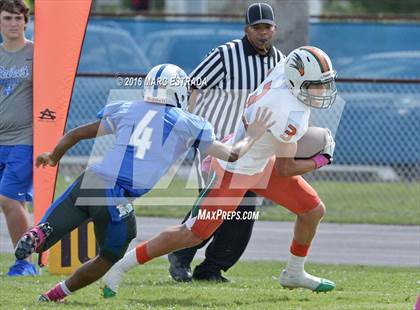 Thumbnail 2 in Seminole @ Dixie Hollins photogallery.