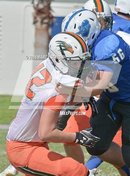 Thumbnail 2 in Seminole @ Dixie Hollins photogallery.