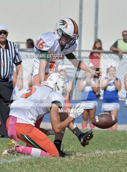 Thumbnail 2 in Seminole @ Dixie Hollins photogallery.