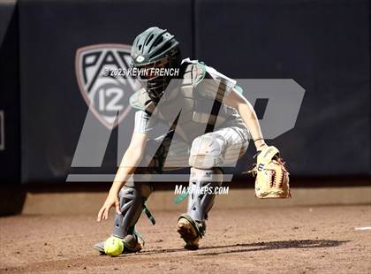 Thumbnail 1 in Greenway vs. Salpointe Catholic (AIA 4A Finals) photogallery.
