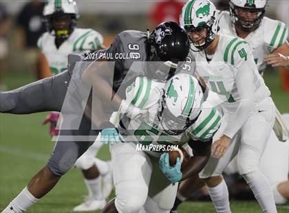 Thumbnail 1 in Myers Park @ Hough photogallery.