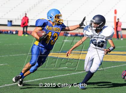 Thumbnail 3 in Lynbrook @ Prospect photogallery.