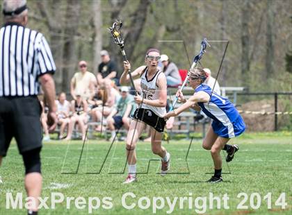 Thumbnail 3 in Ludlowe @ Joel Barlow photogallery.