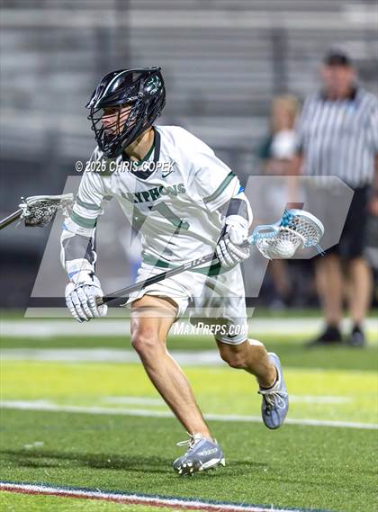 Thumbnail 1 in Bloomingdale @ Sickles photogallery.