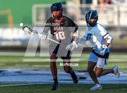 Thumbnail 1 in Bloomingdale @ Sickles photogallery.