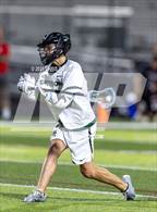 Photo from the gallery "Bloomingdale @ Sickles"