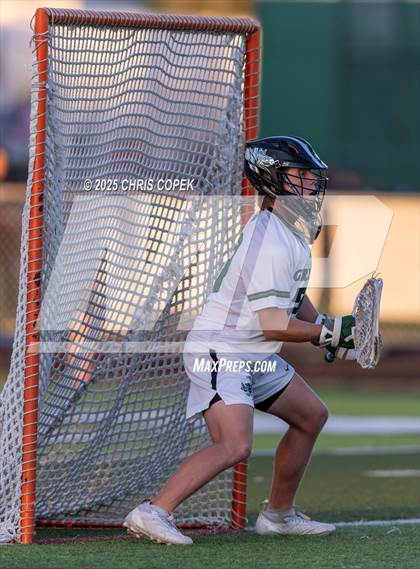 Thumbnail 3 in Bloomingdale @ Sickles photogallery.