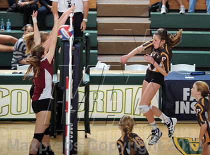 Thumbnail 3 in Parker vs. Sacred Heart Prep (CIF State D4 Final) photogallery.