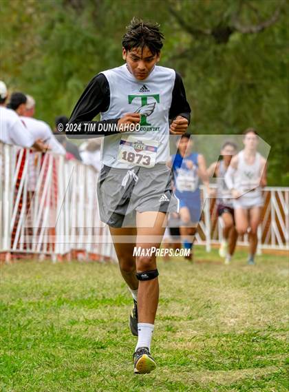 Thumbnail 2 in UIL 3A Boys Cross Country Finals photogallery.