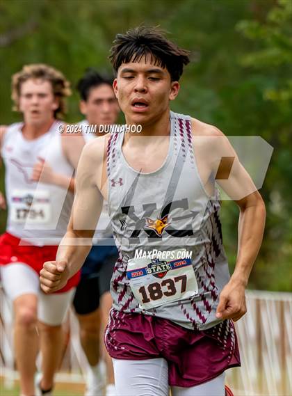 Thumbnail 3 in UIL 3A Boys Cross Country Finals photogallery.