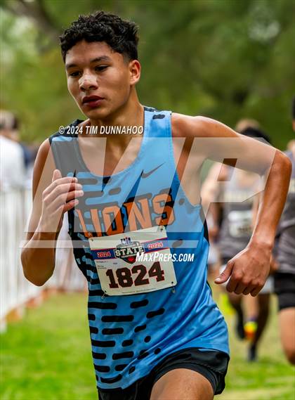 Thumbnail 1 in UIL 3A Boys Cross Country Finals photogallery.