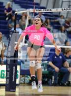 Photo from the gallery "Fountain-Fort Carson @ Pine Creek"