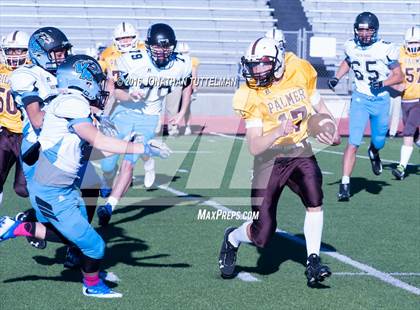 Thumbnail 3 in Vista Ridge @ Palmer photogallery.
