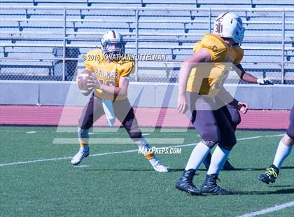 Thumbnail 2 in Vista Ridge @ Palmer photogallery.