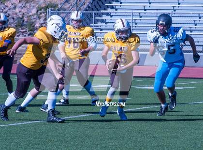 Thumbnail 3 in Vista Ridge @ Palmer photogallery.