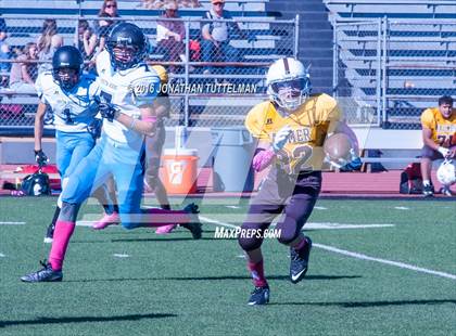Thumbnail 2 in Vista Ridge @ Palmer photogallery.