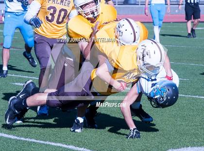 Thumbnail 1 in Vista Ridge @ Palmer photogallery.