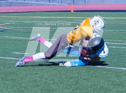 Thumbnail 2 in Vista Ridge @ Palmer photogallery.