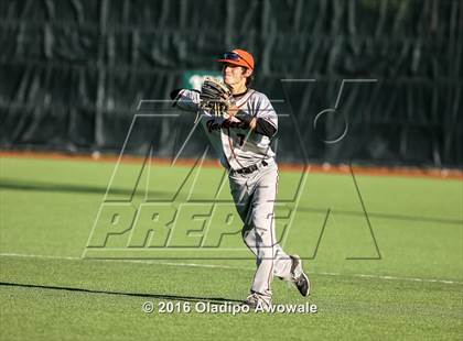 Thumbnail 1 in Rockwall @ Lee photogallery.