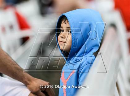 Thumbnail 3 in Rockwall @ Lee photogallery.